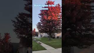 Bloomington in Fall season [upl. by Riffle]