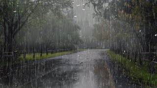 Sonido de Lluvia para un Sueño Profundo y Relajación Mental en 6 minutos  Ruido de Lluvia en Bosque [upl. by Dmitri830]