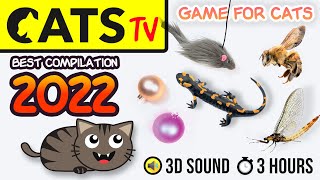 GAME FOR CATS  BEST 2023 Cats TV compilation 🦎🪩🐭 60fps 3 HOURS [upl. by Reivad]