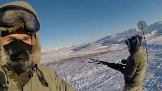 Paxson Alaska Caribou Hunt [upl. by Eceinaj58]