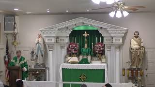 Father Radecki Ways to participate at Mass given by Pope Pius 12 [upl. by Sosthina]