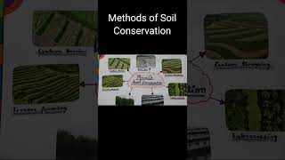 Methods of Soil Conservation  shorts flood [upl. by Crowley456]