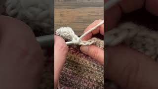 Left Hand What does trblo or Treble Back Loop Only Mean in Crochet crochet [upl. by Prowel]