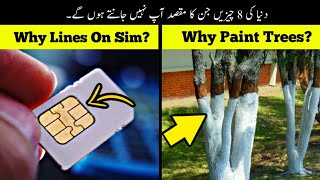 8 Things You Dont Know The Purpose Of  Haider Tv [upl. by Dowlen]