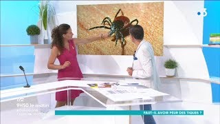 Fautil avoir peur des tiques  Le point dans 9H50 le matin [upl. by Veneaux]