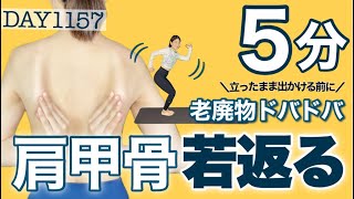 【冷えも改善】肩甲骨に溜まった老廃物が流れて身体もポカポカ ｜DAY1157 5Minute Scapula Release Workout ｜No equipment ｜Standing [upl. by Eelydnarb]