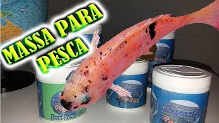 Isca Para Tilapia  Massa Para Pegar tilapia Melhor Isca para tilapias [upl. by Nosnar]