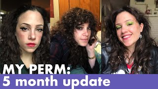 UPDATE 5 months postperm how it wore amp my reperm [upl. by Mylo]