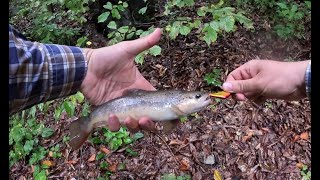 Highlights of trout fishing season 2023 part 2  2023ի կարմրախայտի որսի ուշագրավ պահերը մաս 2 [upl. by Ultun]