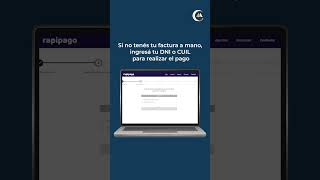 🌲 PAGÁ TUS FACTURAS CON RAPIPAGO ONLINE [upl. by Sykes]