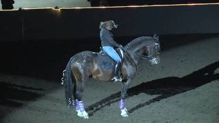 Equine Affaire 2010 Pfizer Fantasia  Dressage quotQueenquot Freestyle [upl. by Kus777]