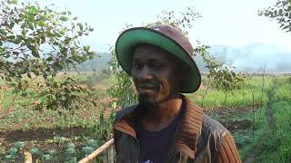 Entreprenariat agricole  Groupe quotKijana Shika Jembequot [upl. by Brig]