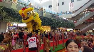 Cny 2024 Lion Dance high pole Seletar Mall Chinese New Year 初七 16 Feb 2024 [upl. by Norrv666]