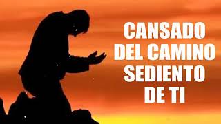 cansado del camino [upl. by Noside]