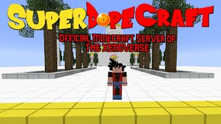 I MADE A MINECRAFT SERVER [upl. by Aititil]