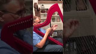 IMPROVISATION IN BLACK AND RED  SHORT  Alfredo Rolando Ortiz amp Christian Thierbach electricharp [upl. by Aivatco]