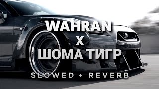 Randall Wahran x Asanrap Шома тигр Slowed  Reverb [upl. by Onin]