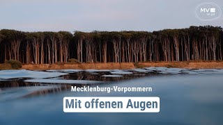 Sehnsucht nach Wasser und Weitblick  MecklenburgVorpommern  Das Urlaubsland [upl. by Aniloj]