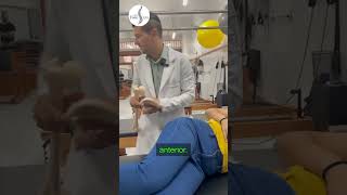 ARTROSE e IMPACTO FEMOROACETABULAR de QUADRIL  MOBILIZAÇÃO ARTICULAR COXOFEMORAL shortsvideo [upl. by Ymma]