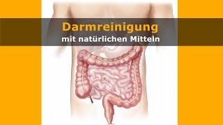 DarmreinigungDarm reinigen und entgiften [upl. by Esidnak]