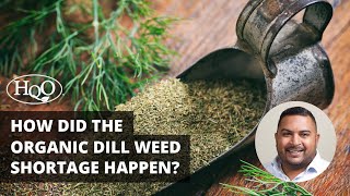 How did the Organic Dill Weed Shortage Happen [upl. by Yecram578]