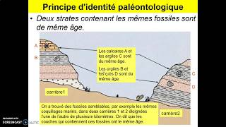 Datation relative Stratigraphie 3 [upl. by Arihday658]