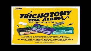 TrichotomyThe AlbumFlying Roache Riddim MixftTurbulenceLukie DIbo FyahDelly RanxCutty Ranks [upl. by Silloh473]