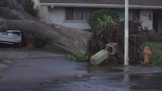 California Storm Watch Power outages flooding and fallen trees  Feb 5 2024 [upl. by Elazaro90]