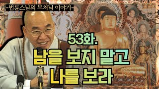 법륜스님의 부처님 이야기 53화 남을 보지 말고 나를 보라 [upl. by Whitby137]