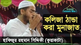 হৃদয় জুড়ানো মুনাজাত  হাফিজুর রহমান কুয়াকাটা  Hafizur Rahman  Monajat [upl. by Nikos]