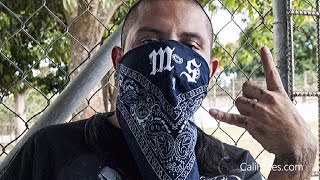 5 Biggest Mexican Gangs In Los Angeles [upl. by Kurtzig]