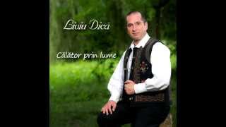 Liviu Dică  Călător prin lume [upl. by Nerra391]