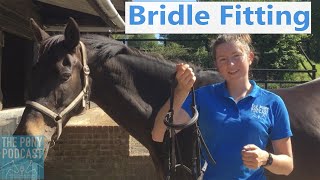 How to Fit a Bridle and Different Nosebands [upl. by Edniya]