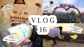 VLOG 16  DÍAS conmigo  VIAJE de graduación a TEQUILA 👩🏻‍🎓🌵  Carolgs 🌻 [upl. by Ellednahc]