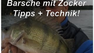 Angeltechnik Barschangeln mit dem Zocker [upl. by Devi]