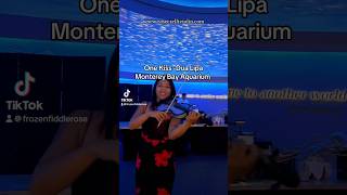 onekiss dualipa violincover electricviolin monterey montereycalifornia ytshorts explore fyp [upl. by Burger]