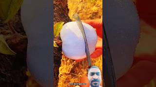 adbhut jankari amazing lifehacks funfacts facts [upl. by Ettesyl484]