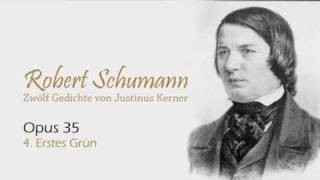 Schumann op 35 no 4 Erstes Grün [upl. by Ailil]