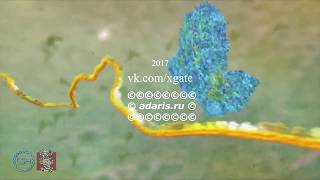 Музыка ДНК  sequencing protein telomerase reverse transcriptase isoform 2 Homo sapiens [upl. by Sawyer]