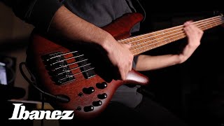 Ibanez SR500 Series Electric Bass [upl. by Jameson]