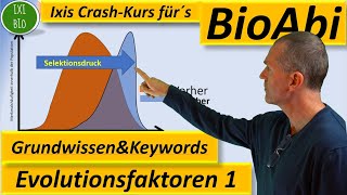 Evolution 1 Evolutionsfaktoren  Grundwissen  Übersicht  Training Wortschatz Keywords BioAbi [upl. by Quigley907]