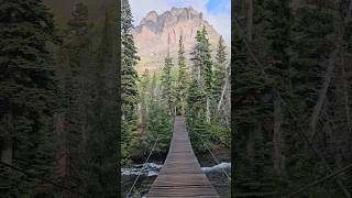 Walking into another dream at Glacier National Park nature hiking shorts [upl. by Ardek]