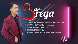 EP ZÉ DO BREGA 2025 [upl. by Itsym]