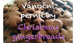 Vánoční PERNÍČKY  recept  Christmas GINGERBREAD  recipe [upl. by Amin98]