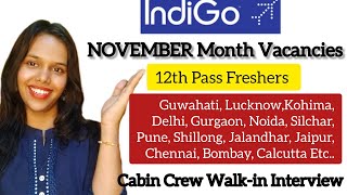 November Month Vacancies  Indigo Airline Cabin Crew Walkin Interview  Airport Jobs Update  IFLY [upl. by Navaj]