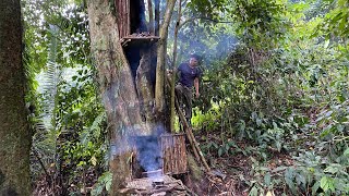 Make a shelter in a tall tree to survive [upl. by Oap]