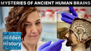 Incredible archive of 12000yearold human brains discovered could reveal ancient secrets [upl. by Burnsed]