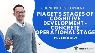 Piagets Stages of Cognitive Development– Concrete Operational Stage [upl. by Onailime]