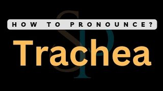 How To Pronounce Trachea Correctly [upl. by Koran]