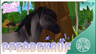 Star Stable SSO Der neue Isländer 😍  PFERDEKAUF [upl. by Jillie]